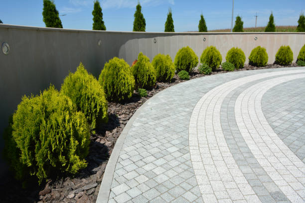 Best Commercial Driveway Pavers  in Anaconda, MT
